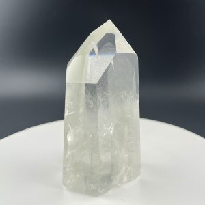 Lumina Vitae -