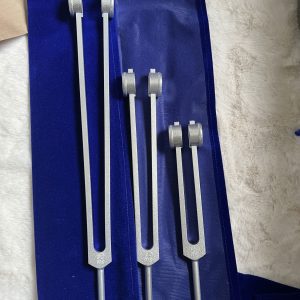 Lumina Vitae -